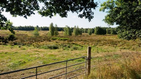 Wanderung im Dosenmoor